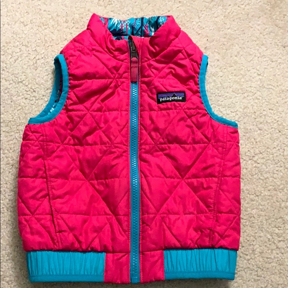 patagonia vest